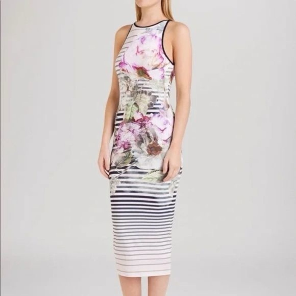 NWT Ted Baker London Pure Peony Striped Midi Dress Womens Size 4
